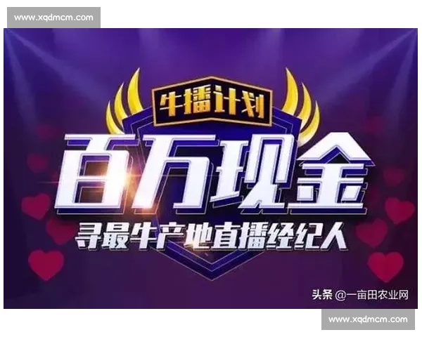 最新体育赛事高清直播免费看，无需付费轻松畅享全场比赛 - 副本 (3)