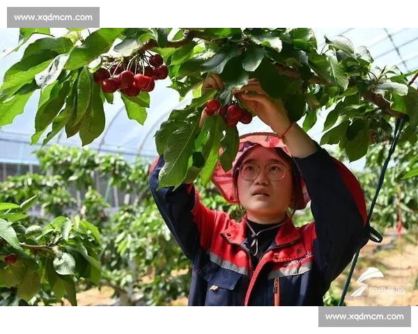 绿色直播助力体育赛事可持续发展 引领环保新风潮 - 副本 (2)