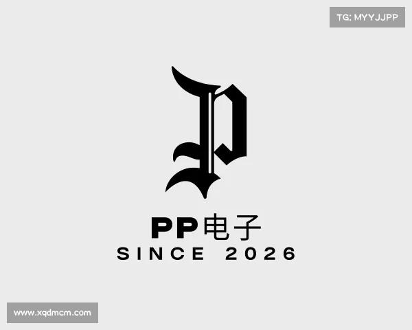 介绍pp电子